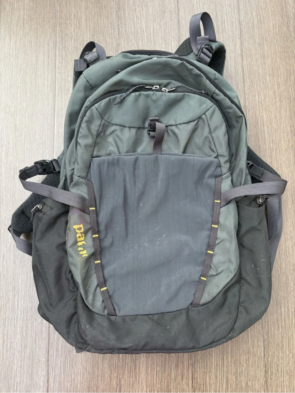 Patagonia Gray Backpack